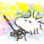 Tom Everhart's Lucy Girl Friend Dreams